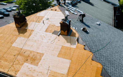 What Types Of Home Roofs Exit?