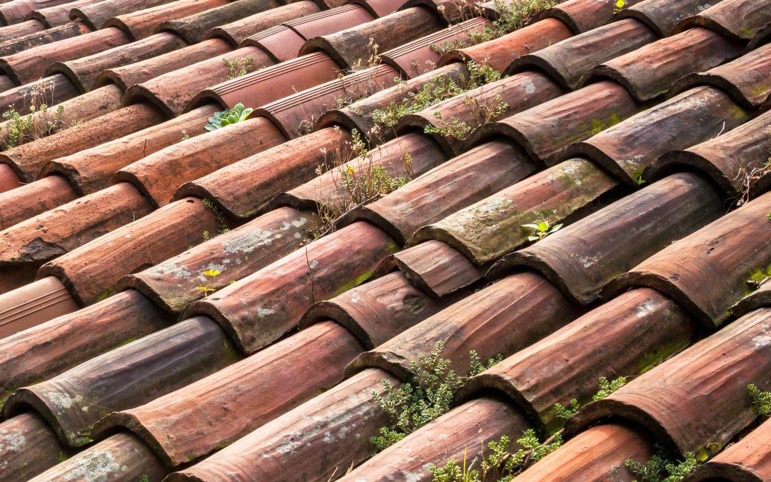 Old roofing tiles