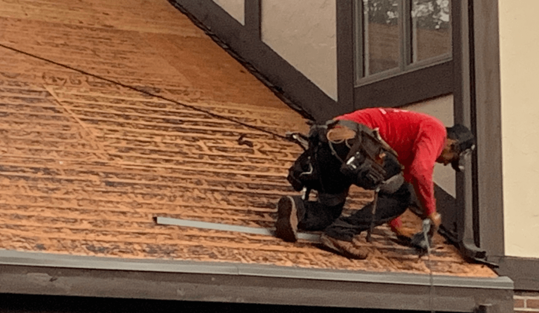 What Should I Look For In A Roof Restoration Company?